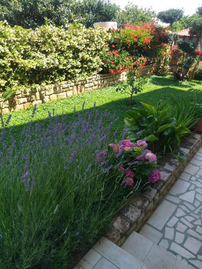 Zelena Oaza Apartment Novigrad Istria Exteriér fotografie