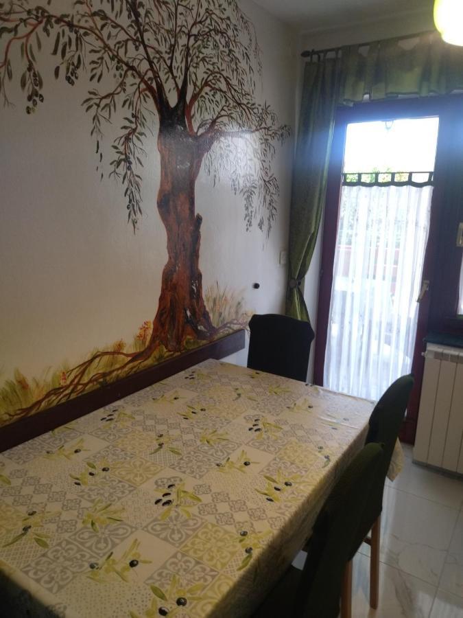 Zelena Oaza Apartment Novigrad Istria Exteriér fotografie