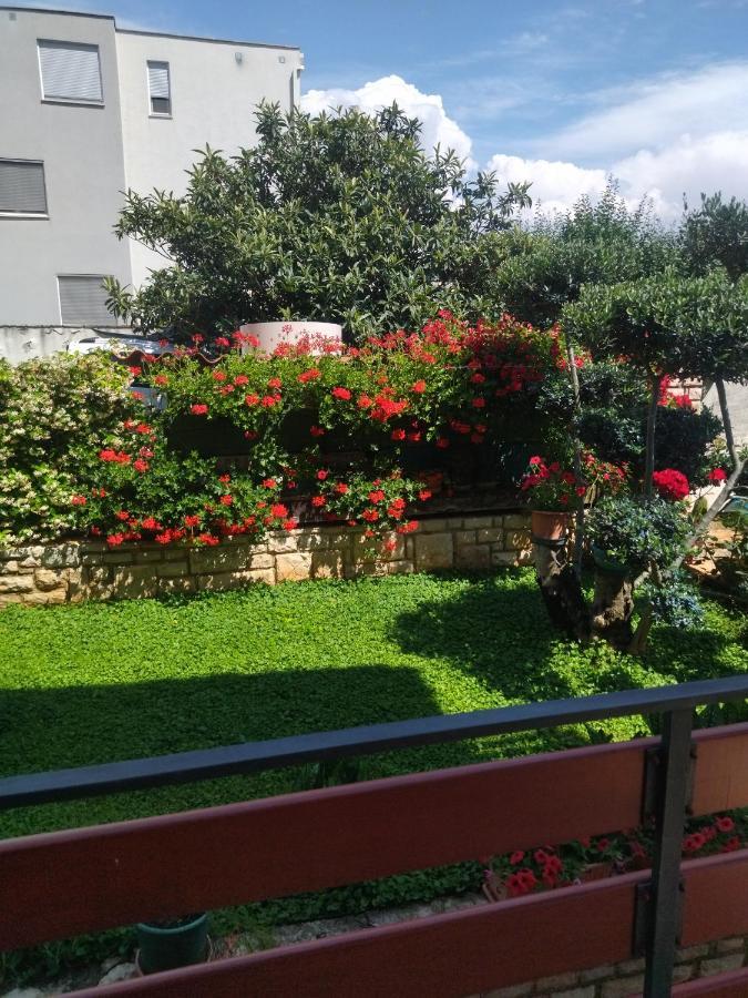 Zelena Oaza Apartment Novigrad Istria Exteriér fotografie