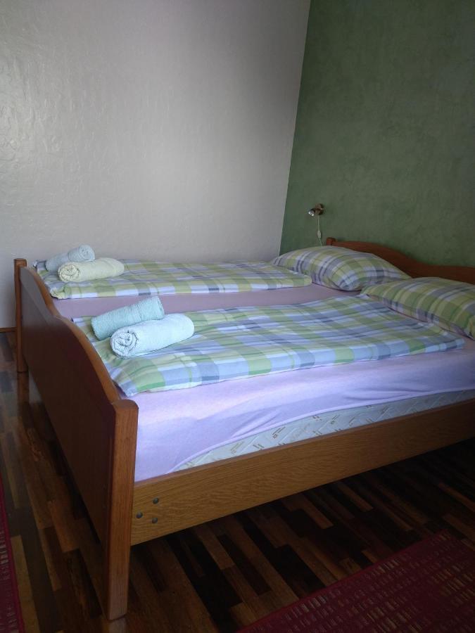 Zelena Oaza Apartment Novigrad Istria Exteriér fotografie