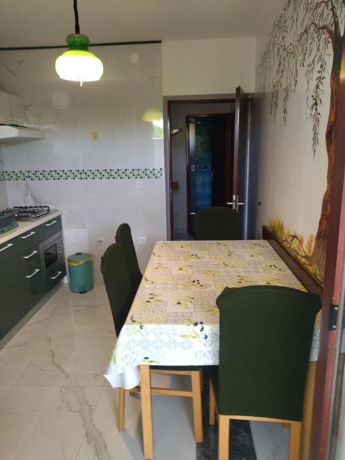 Zelena Oaza Apartment Novigrad Istria Exteriér fotografie