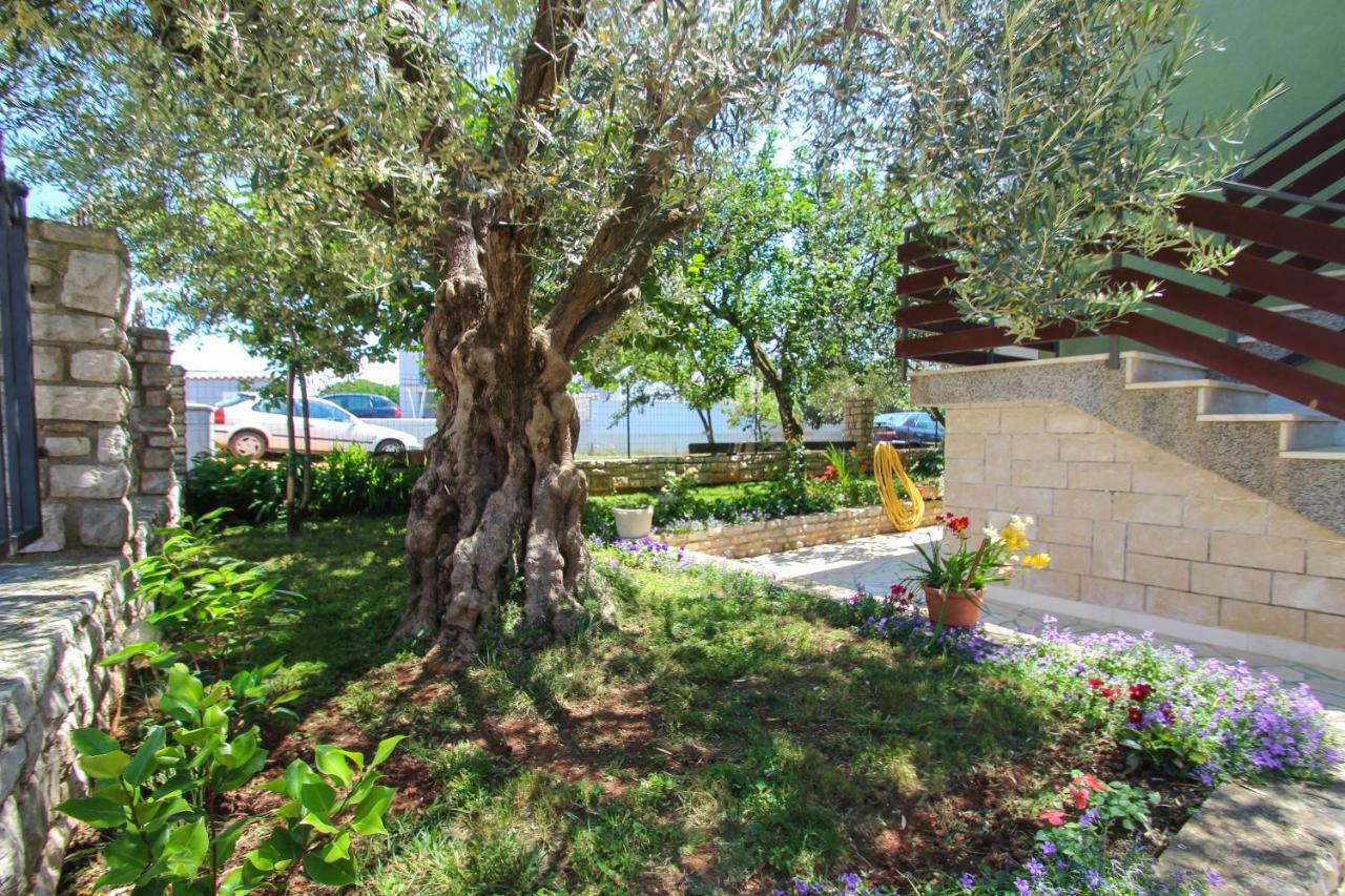 Zelena Oaza Apartment Novigrad Istria Exteriér fotografie
